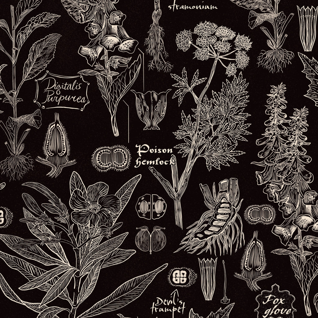 Intricate botanical wallpaper with white plant illustrations on charcoal background.