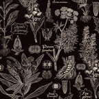 Intricate botanical wallpaper with white plant illustrations on charcoal background.