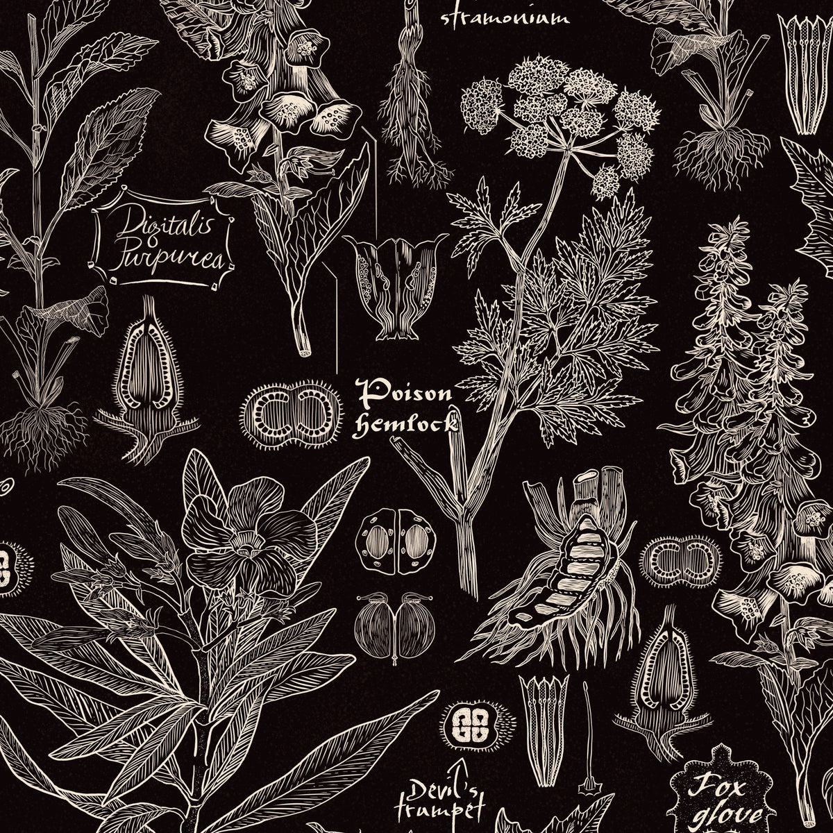 Intricate botanical wallpaper with white plant illustrations on charcoal background.