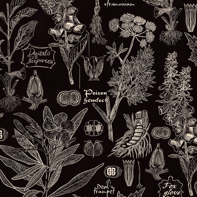 Intricate botanical wallpaper with white plant illustrations on charcoal background.
