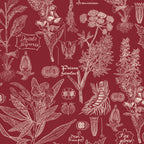 Crimson wallpaper with intricate botanical illustrations of poisonous plants.