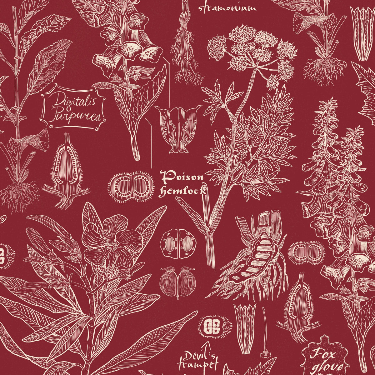 Crimson wallpaper with intricate botanical illustrations of poisonous plants.
