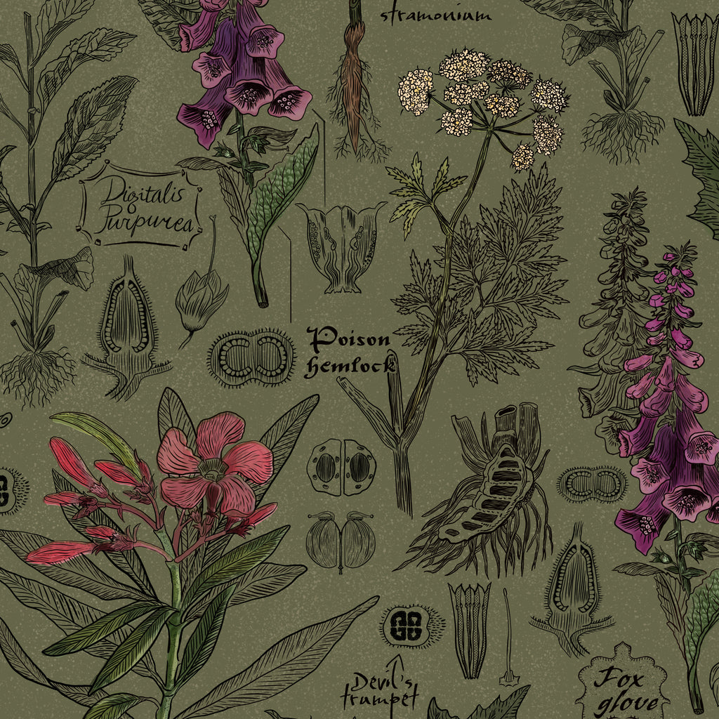 Olive wallpaper with botanical illustrations of foxgloves and hemlocks in purple and green.