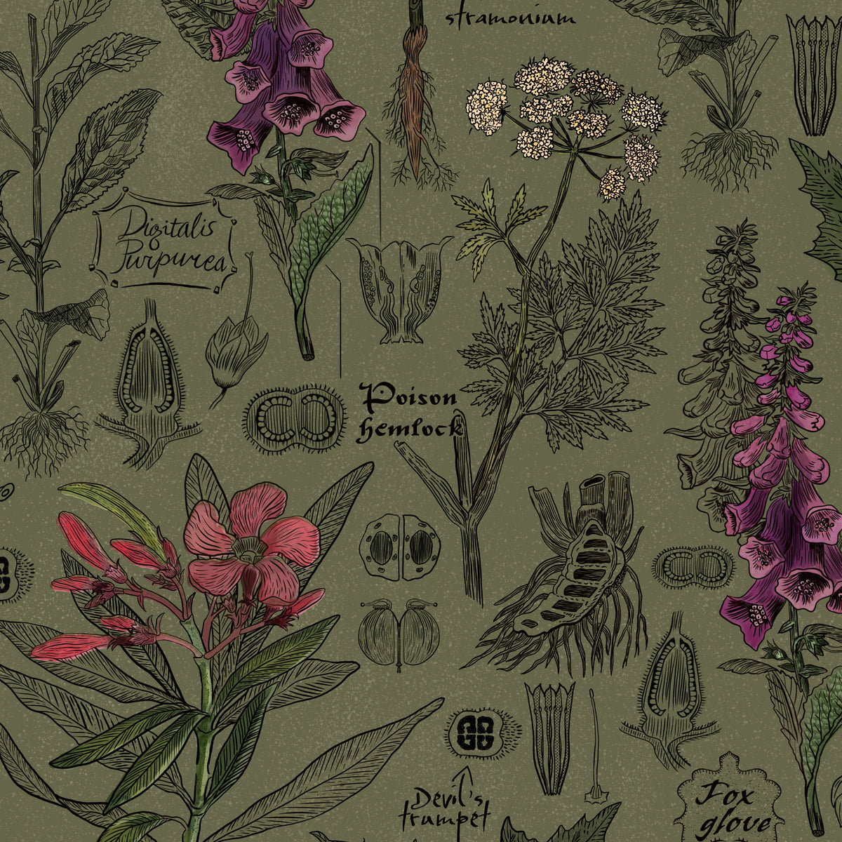 Olive wallpaper with botanical illustrations of foxgloves and hemlocks in purple and green.
