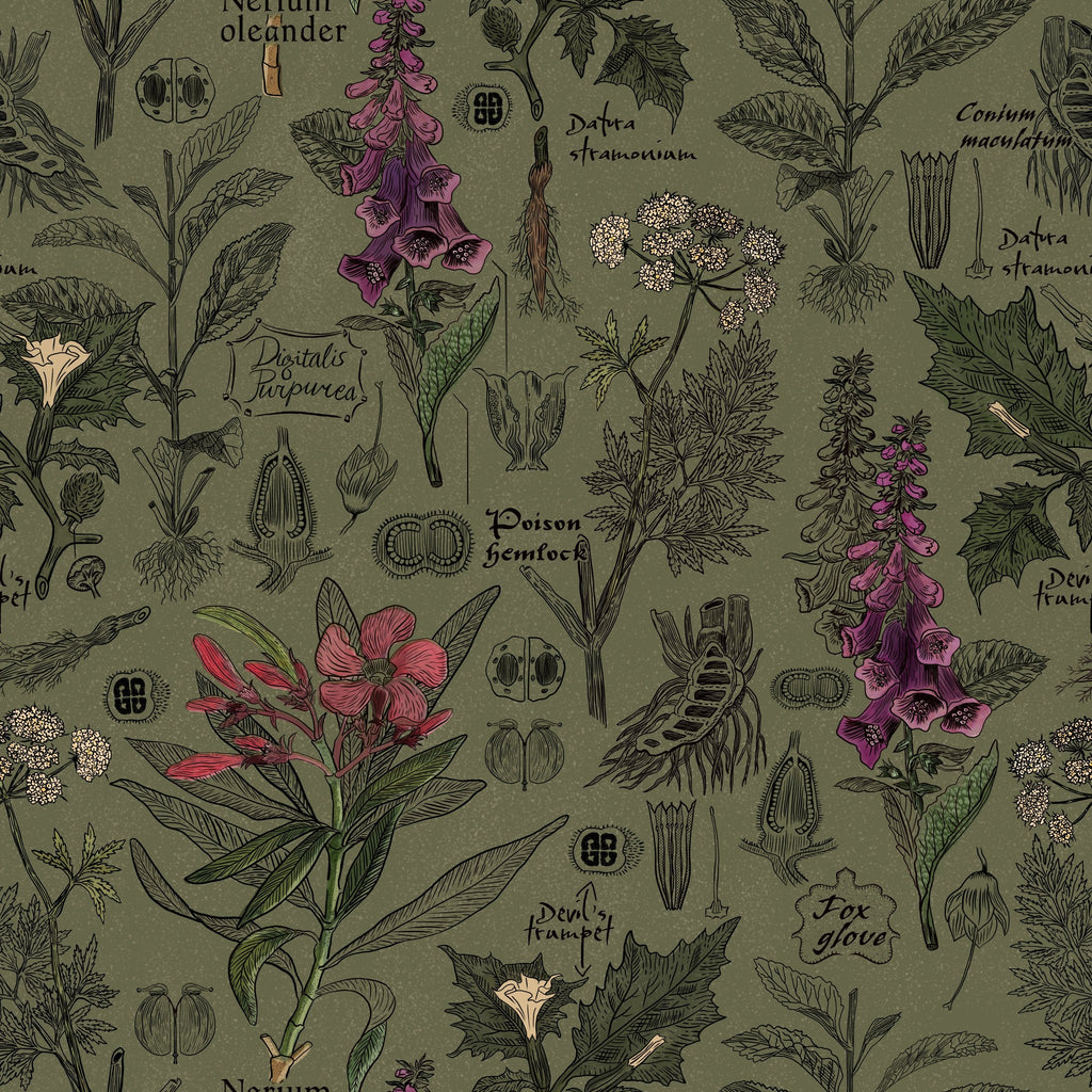 Botanical wallpaper with olive backdrop featuring purple foxgloves and green hemlocks.
