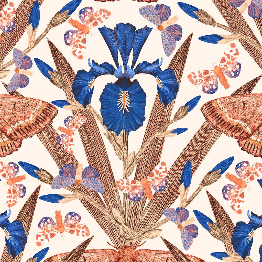 Terracotta and navy wallpaper with cobalt irises and moths on cream background.