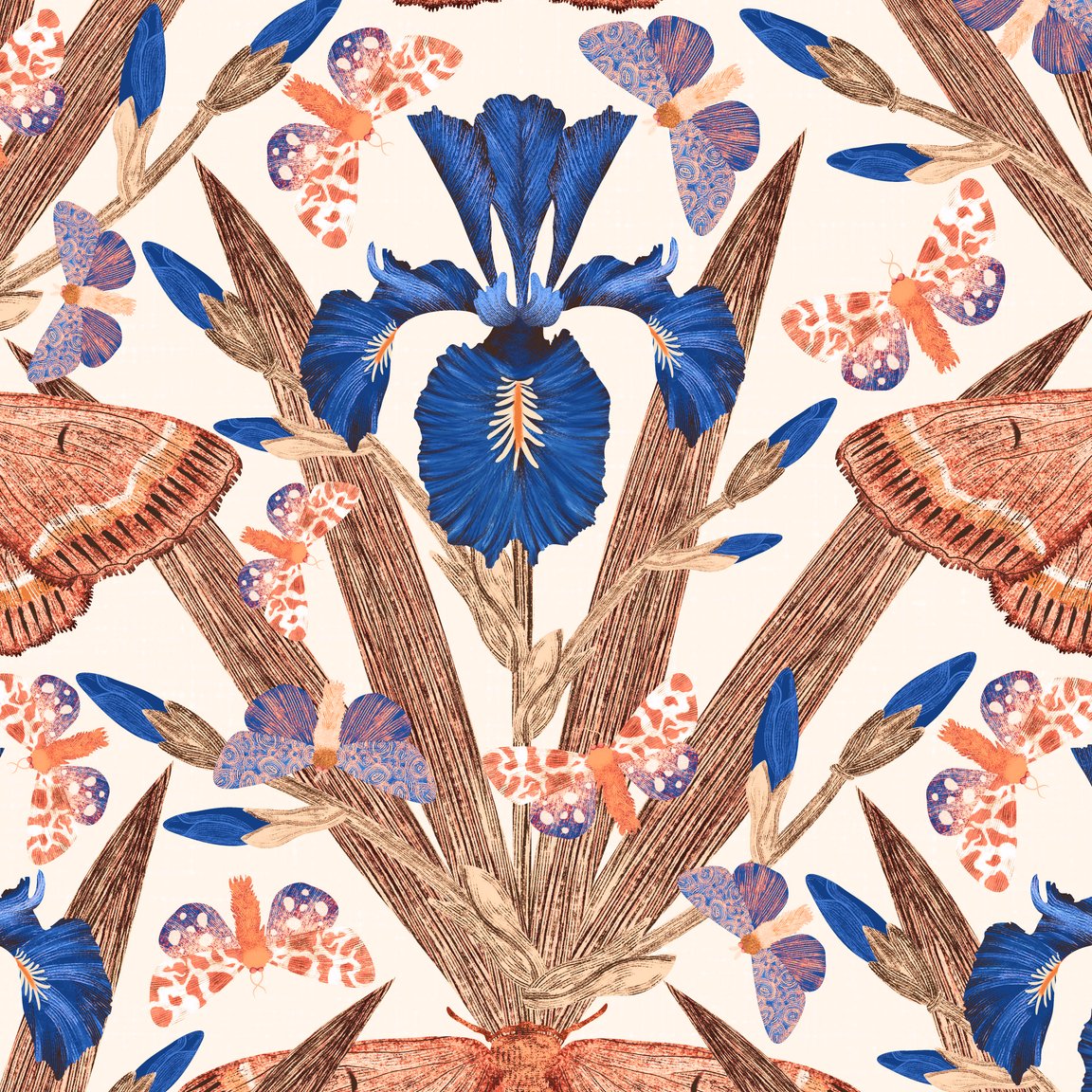 Terracotta and navy wallpaper with cobalt irises and moths on cream background.