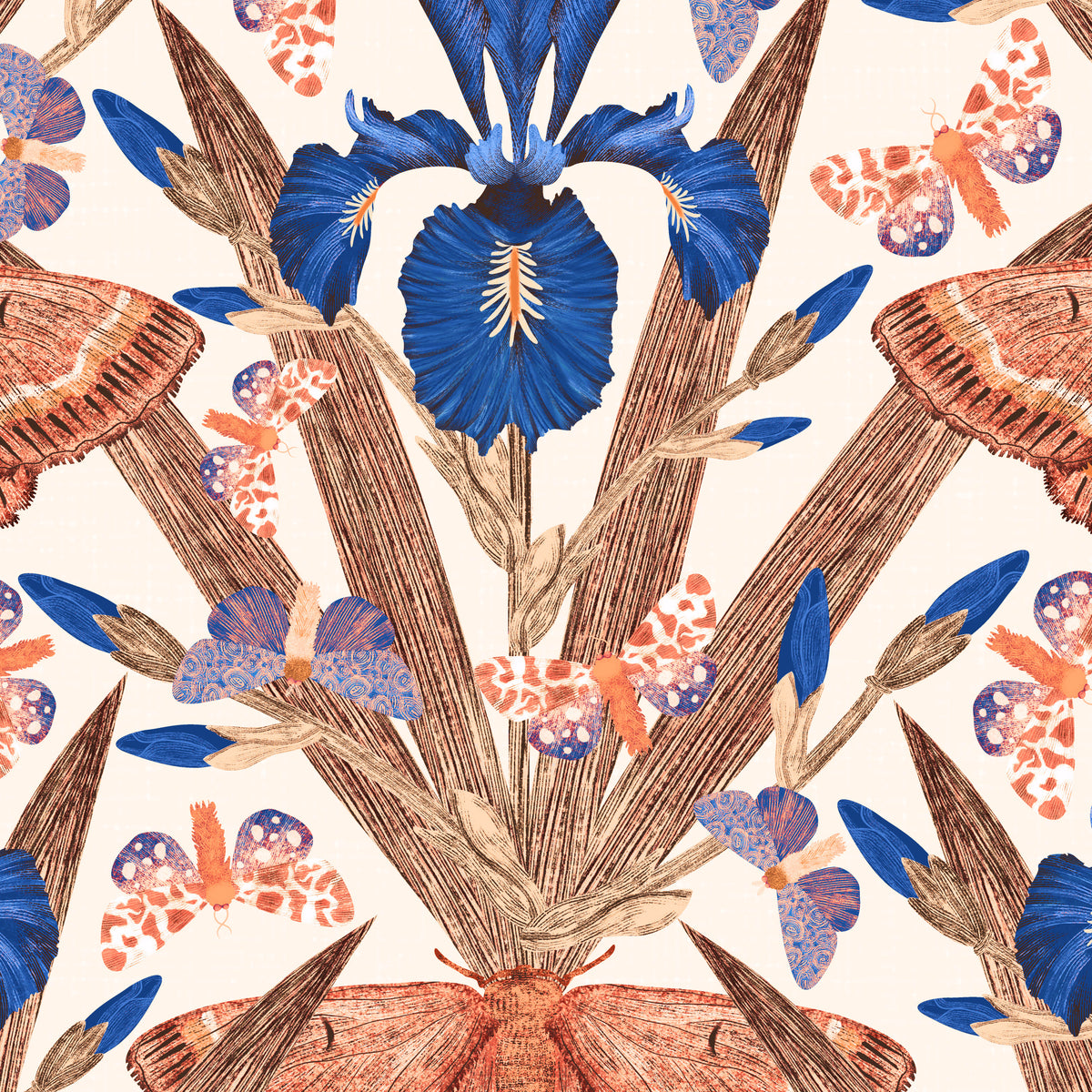 Terracotta and navy iris and moth wallpaper with cream background.