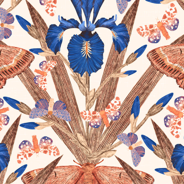 Terracotta and navy iris and moth wallpaper with cream background.