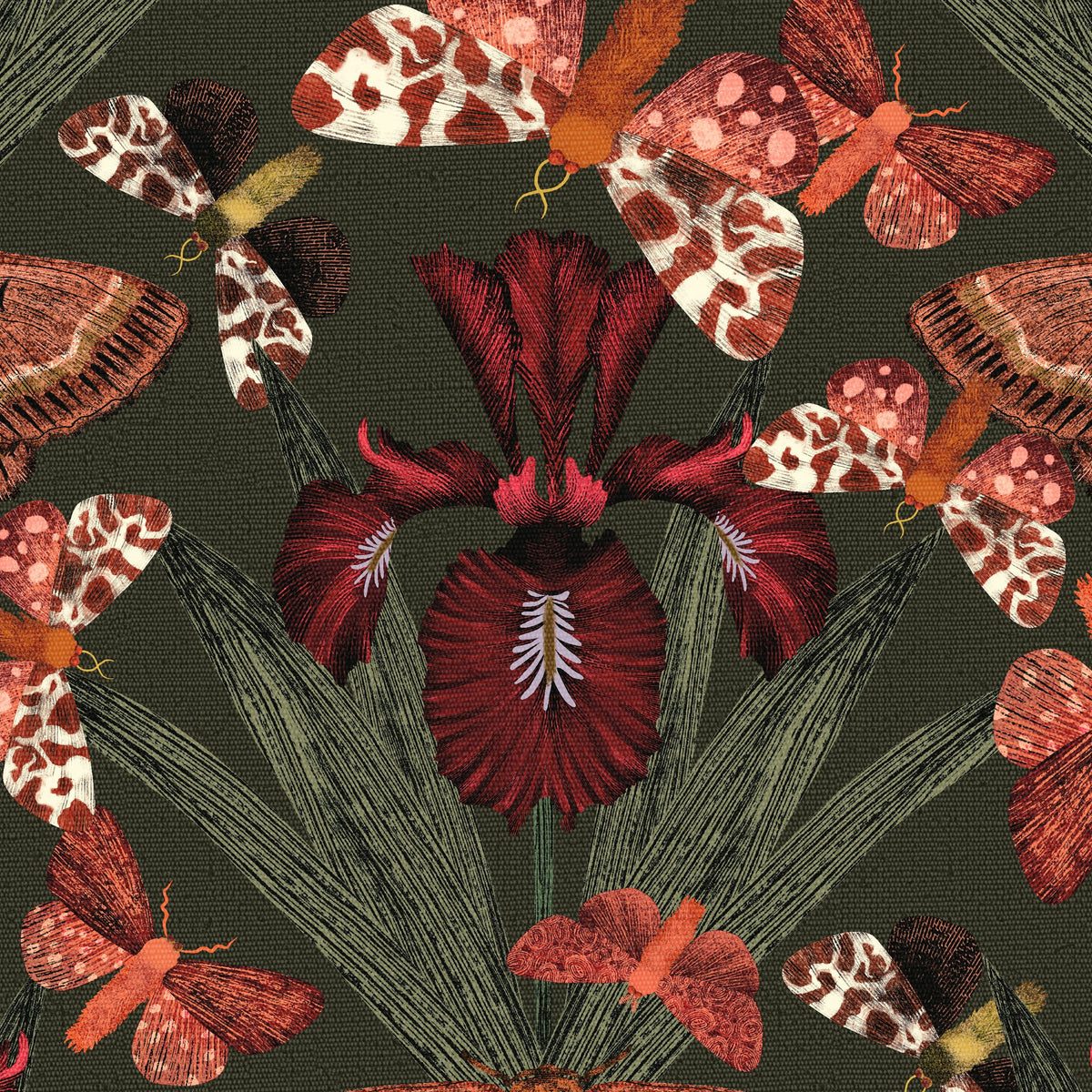 Terracotta and olive wallpaper with ruby moths and Dutch irises on dark background.