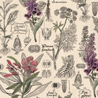 Vintage botanical wallpaper with cream and taupe poisonous plants illustration.