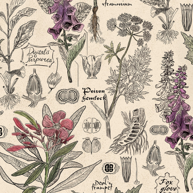 Vintage botanical wallpaper with cream and taupe poisonous plants illustration.